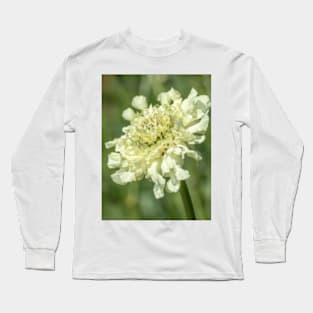 Scabiosa columbaria Long Sleeve T-Shirt